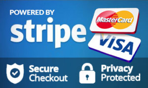 Pay with VISA, Mastercard, Bank wire, COD